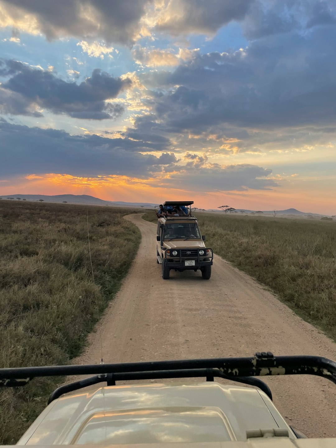 Sustainable Travel: How to Minimize Your Environmental Impact